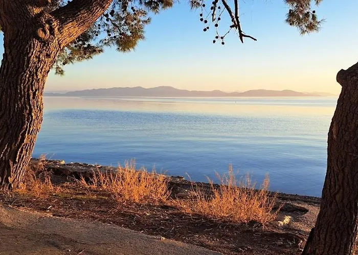 Yard Of Epicurus - η αυλή του επίκουρου *