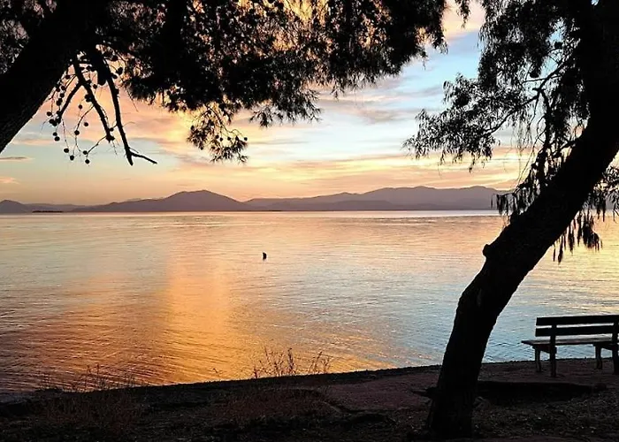 Yard Of Epicurus - η αυλή του επίκουρου Сasa de vacaciones Kato Gatzea