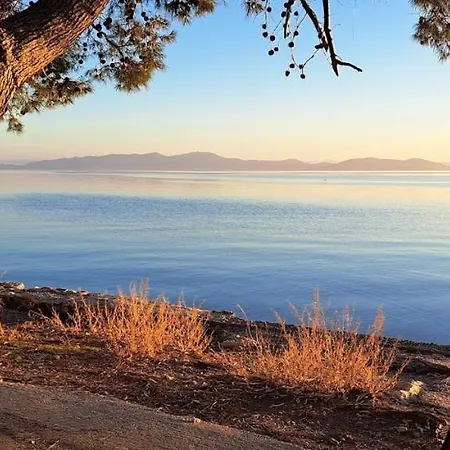 Yard Of Epicurus - η αυλή του επίκουρου *