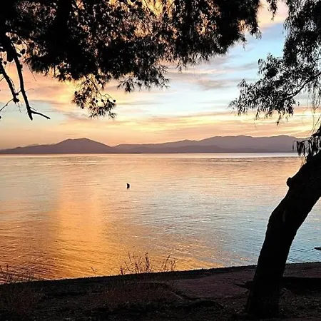 Yard Of Epicurus - η αυλή του επίκουρου Feriehus Kato Gatzea