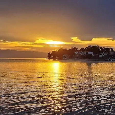 Yard Of Epicurus - η αυλή του επίκουρου * Kato Gatzea