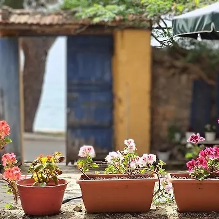 Yard Of Epicurus - η αυλή του επίκουρου Vakantiehuis